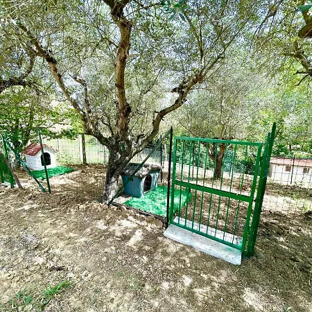 Helvetia Appartement